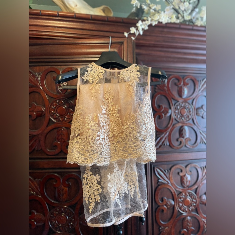 A. Peach Champagne nude lace skirt set